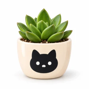 🌱 Wapu planta, feliz
